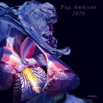 VARIOUS ARTISTS - POP AMBIENT 2020 (Vinyl LP)