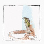 MAYER,DAVID - SKANDA EP (Vinyl LP)