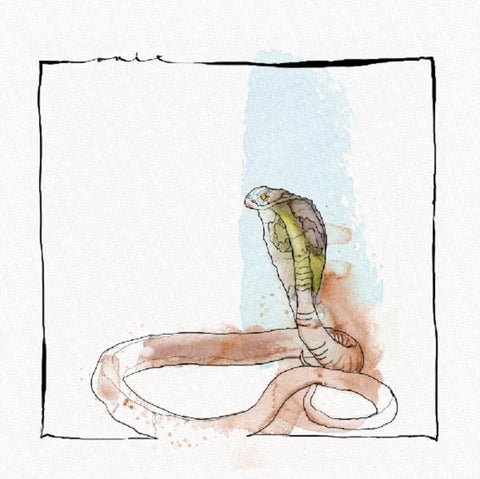 MAYER,DAVID - SKANDA EP (Vinyl LP)