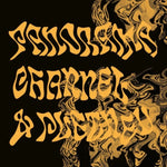 PANORAMA CHANNEL & PLETNEV - BLAVATSKY EP (Vinyl LP)