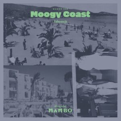 MOOGY COAST - KOHERENCJA