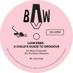EBBS,LIAM - CHILD'S GUIDE TO GROOVE (Vinyl LP)
