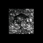 SUBLEE - IREALIS (Vinyl LP)