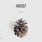 GABRIEL & DRESDEN - REMEDY (Vinyl LP)