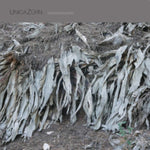 UNICAZURN - TRANSPANDOREM (Vinyl LP)