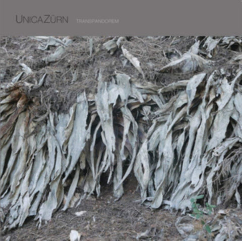 UNICAZURN - TRANSPANDOREM (Vinyl LP)