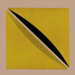 SNOW PALMS - ORIGIN AND ECHO (Vinyl LP)