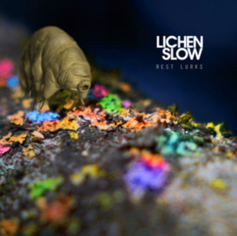 LICHEN SLOW - REST LURKS (ORANGE VINYL) (Vinyl LP)