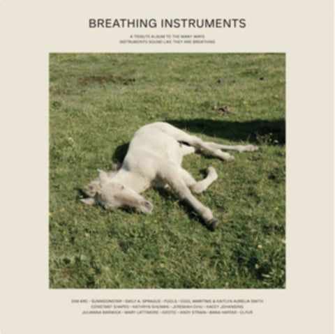 VARIOUS ARTISTS - BREATHING INSTRUMENTS (Vinyl LP)