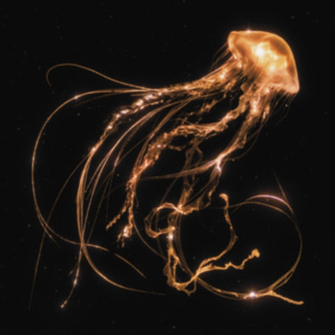 ROYAL BLOOD - BACK TO THE WATER BELOW (Music CD)