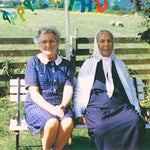 DAUWD - THEORY OF COLOURS (Vinyl LP)