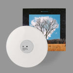 FINK - BLOOM INNOCENT (Vinyl LP)