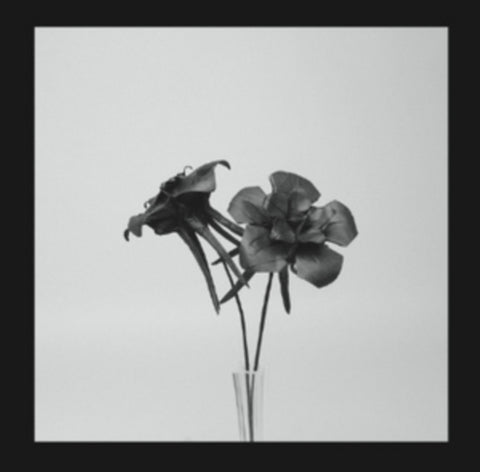 JLIN - DARK LOTUS (Vinyl LP)