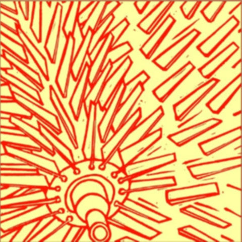 PLOY - RAMOS EP (Vinyl LP)