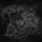DAUBY,YANNICK - PENGHU EXPERIMENTAL SOUND STUDIO VOL. 2 (Vinyl LP)