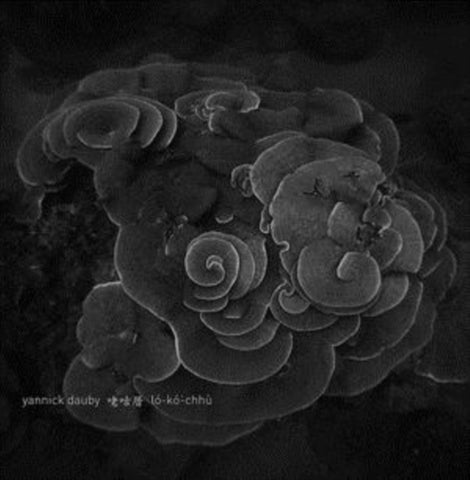 DAUBY,YANNICK - PENGHU EXPERIMENTAL SOUND STUDIO VOL. 2 (Vinyl LP)