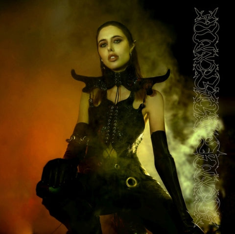 PTWIGGS - DARKENING OF LIGHT (Vinyl LP)