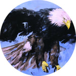 AQUARIUS - SOULQUENCIES (Vinyl LP)