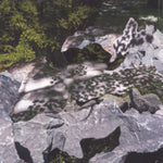 MULLEN,GEOFF - FILTERED WATER (Vinyl)