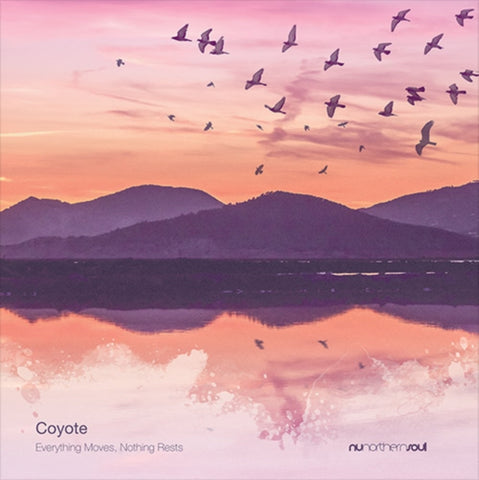 COYOTE - EVERYTHING MOVES, NOTHING RESTS (Vinyl LP)