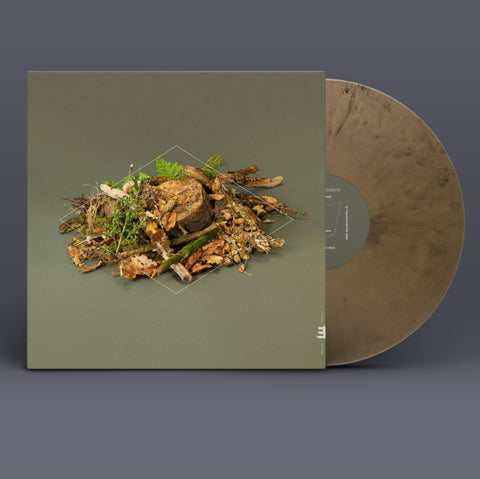 MCCREADIE,FERGUS - FOREST FLOOR (GOLD VINYL) (Vinyl LP)