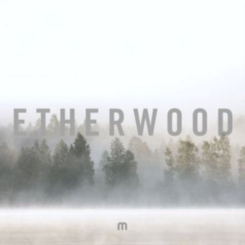 ETHERWOOD - IN STILLNESS (Vinyl LP)