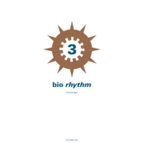 VARIOUS ARTISTS - BIO RHYTHM 3: RE-INDULGE (2LP) (Vinyl LP)