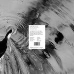 DJ MORPHEUS - BEAUTY NOW FOR THE FUTURE (LYSERGICALLY UNITED) (Vinyl LP)