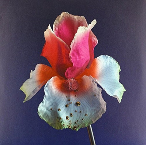 FLUME - TINY CITIES FT. BECK (LINDSTROM & PRINS THOMAS RMX)/TAKE A CHANCE (Vinyl LP)