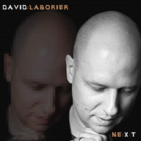 LABORIER,DAVID - NE:X:T (180G VINYL) (Vinyl LP)